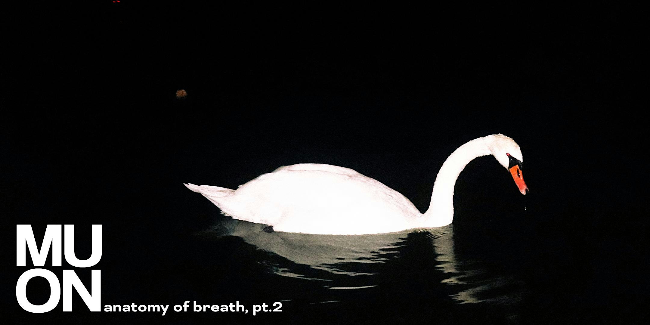 MUON - Anatomy of Breath, Pt.2