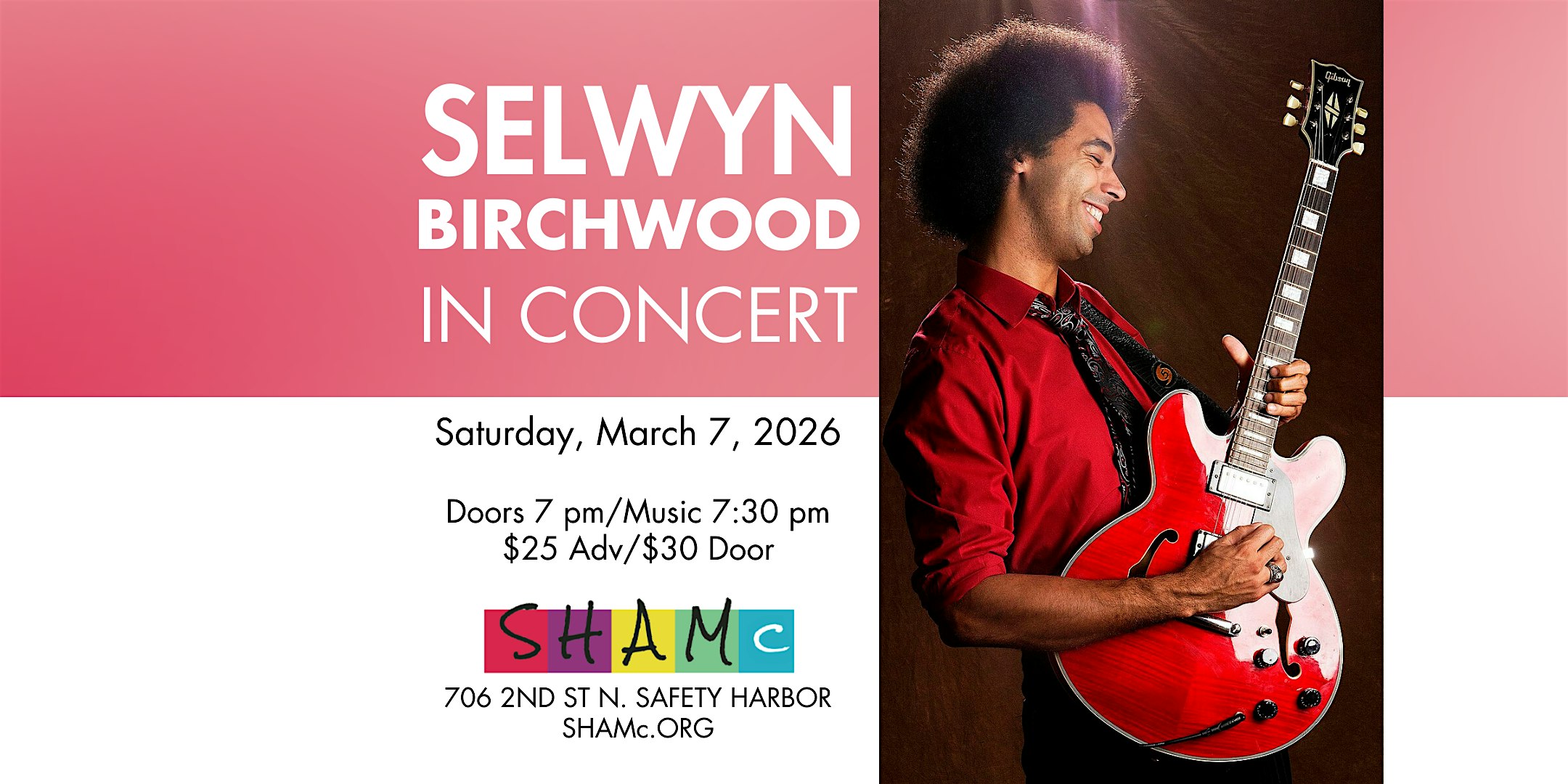 Selwyn Birchwood In Concert